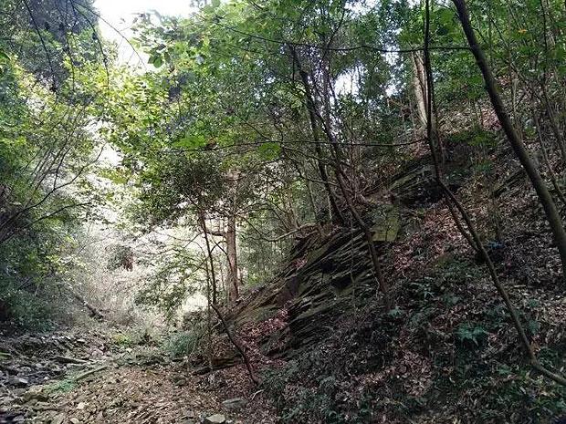 逃离办公室房间